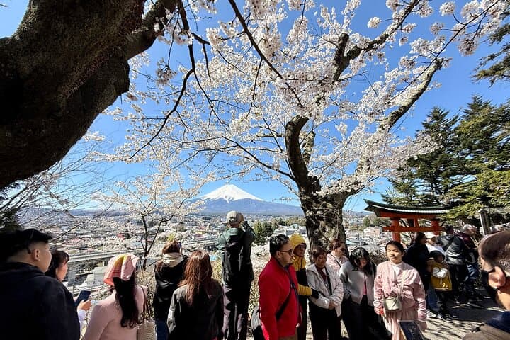 Tokyo: Customized Mt. Fuji & Hakone Sightseeing Private Day Trip — photo 20