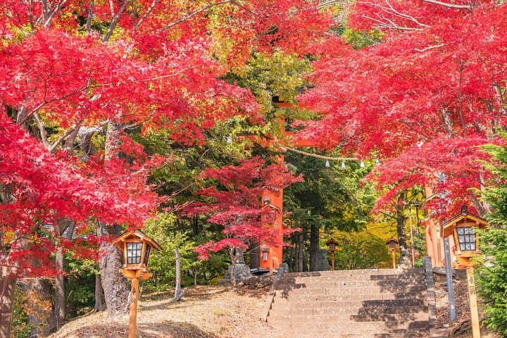 Mt. Fuji Famous Instagram Park Oshino Hakkai & Oishi Park Trip — photo 2