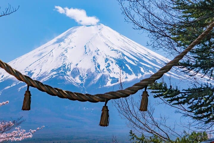 Mt. Fuji Famous Instagram Park Oshino Hakkai & Oishi Park Trip — photo 3