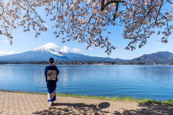 Mt. Fuji Famous Instagram Park Oshino Hakkai & Oishi Park Trip — photo 8