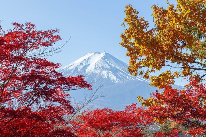 Mt. Fuji Famous Instagram Park Oshino Hakkai & Oishi Park Trip — photo 10