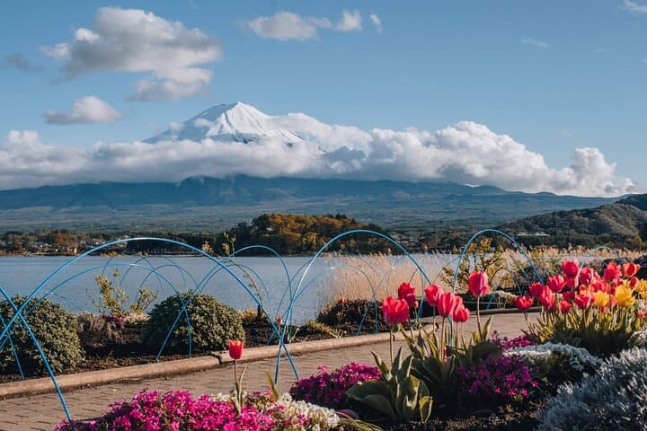 Mt. Fuji Famous Instagram Park Oshino Hakkai & Oishi Park Trip — photo 11