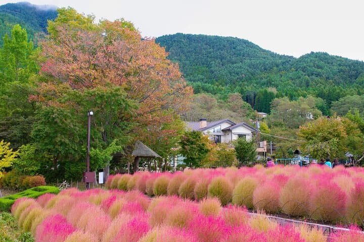 Mt. Fuji Famous Instagram Park Oshino Hakkai & Oishi Park Trip — photo 12