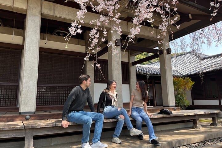 Tokyo Yanaka Old Town Walking Tour (Private/Local guide) — photo 5