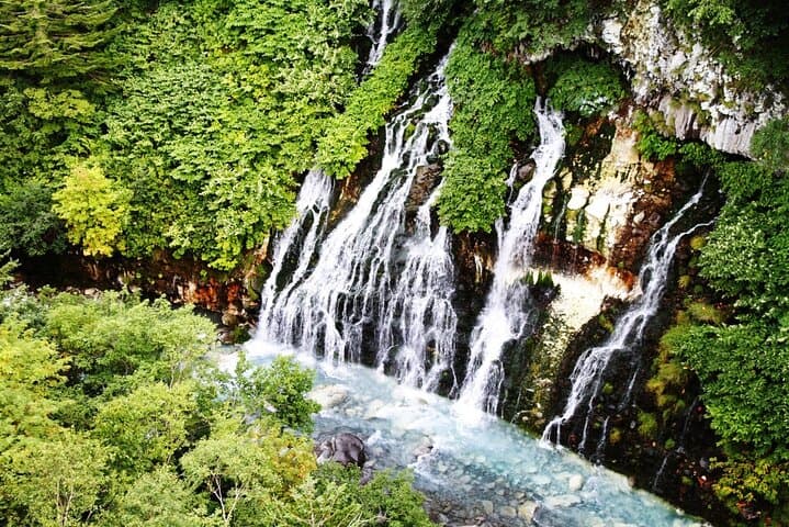 Asahiyama Zoo, Biei tree, Shirohige Falls and Blue Pond Day Tour — photo 8