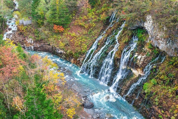 Asahiyama Zoo, Biei tree, Shirohige Falls and Blue Pond Day Tour — photo 11