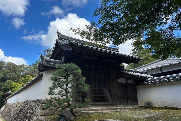 Private Himeji Drive with Fresh Oyster in Winter and Culture — photo 20