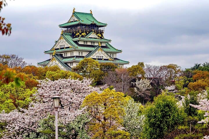 Osaka Half Day Walking Tour with an Expert Local Guide — photo 5