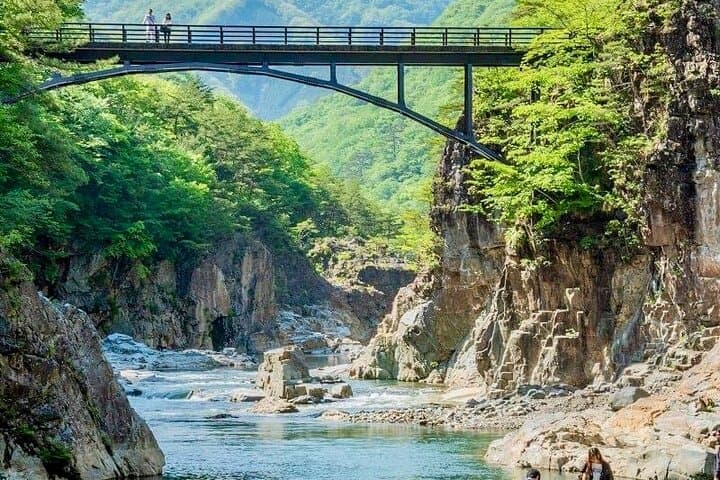 From Tokyo: Nikko Sightseeing Customized Private Tour