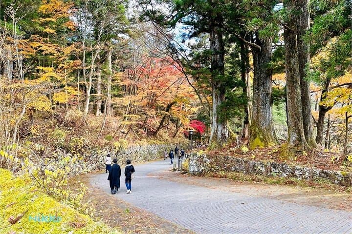 From Tokyo: Nikko Sightseeing Customized Private Tour — photo 8