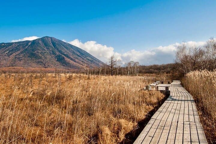From Tokyo: Nikko Sightseeing Customized Private Tour — photo 9