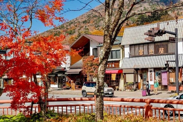 From Tokyo: Nikko Sightseeing Customized Private Tour — photo 17
