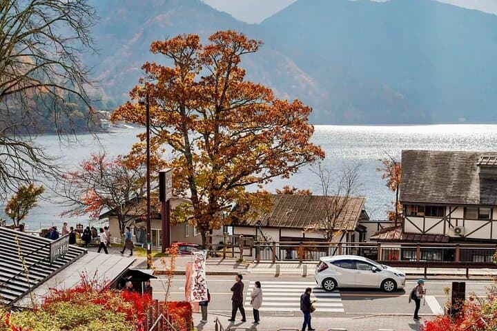 From Tokyo: Nikko Sightseeing Customized Private Tour — photo 19