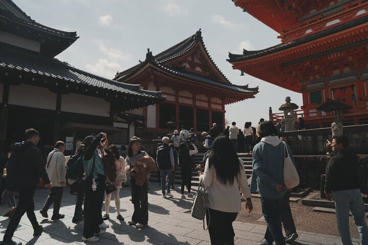 Full-Day Kyoto Group Tour with an Expert Local Guide — photo 12