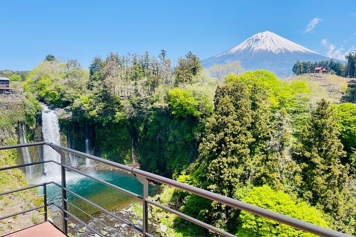 Hakone Private Car Sightseeing Tour — photo 2