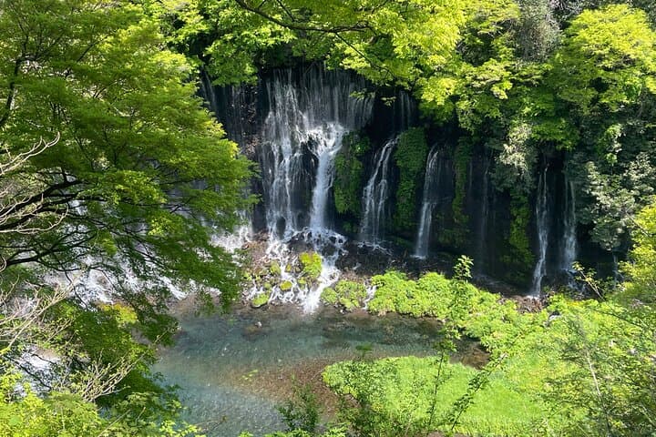 Hakone Private Car Sightseeing Tour — photo 3