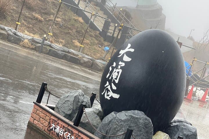 Hakone Private Car Sightseeing Tour — photo 4