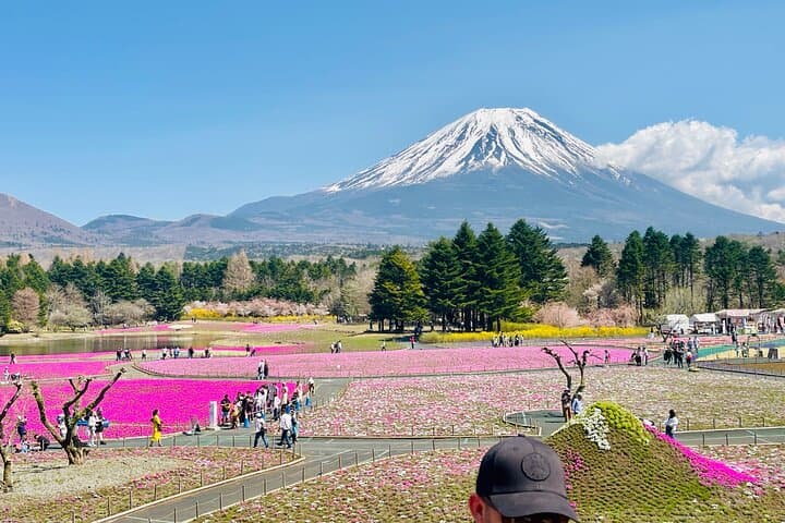 Hakone Private Car Sightseeing Tour — photo 5