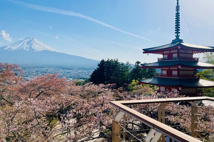 Hakone Private Car Sightseeing Tour — photo 7