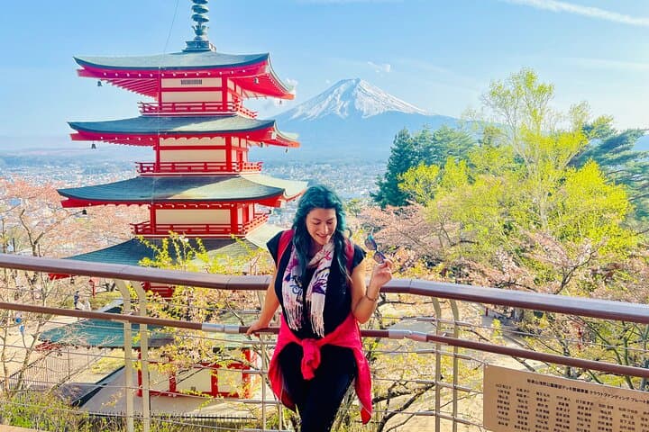 Hakone Private Car Sightseeing Tour — photo 8