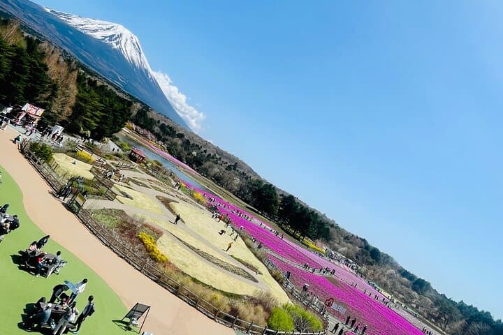 Hakone Private Car Sightseeing Tour — photo 9