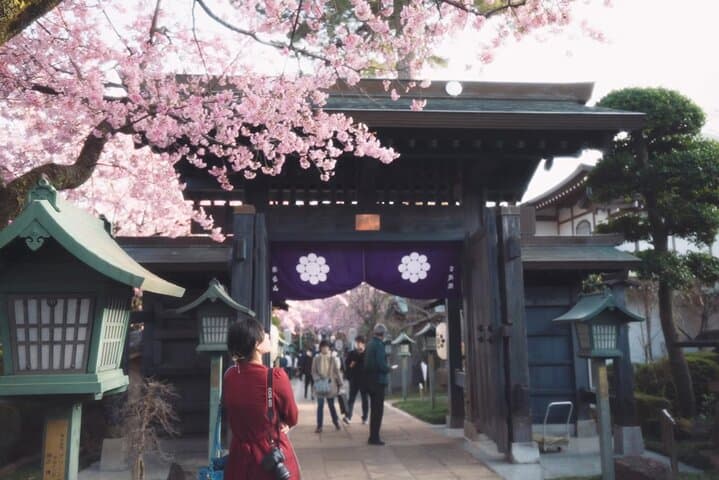 Hakone Private Car Sightseeing Tour — photo 12