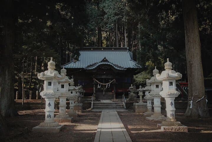 Hakone Private Car Sightseeing Tour — photo 13
