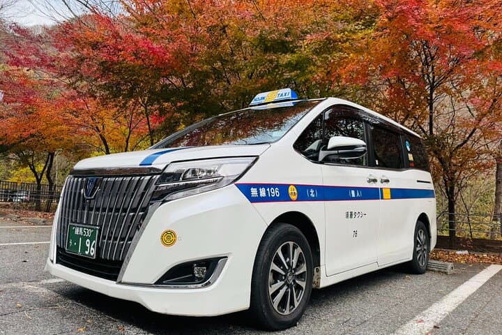Intercity Shuttle, Yokohama to Haneda /Narita /Tokyo /TDR — photo 8