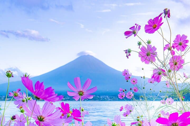 One Way Shuttle Van Transfer, Tokyo⇔Yamanashi(Mt.Fuji) — photo 6