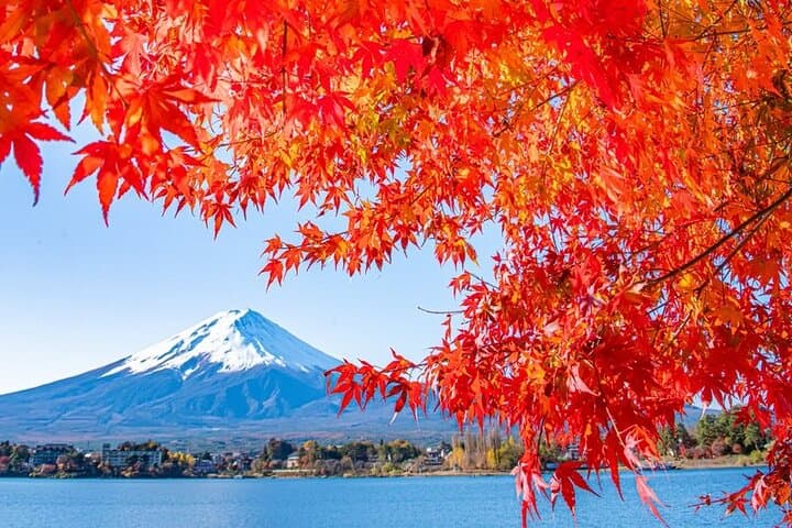 One Way Shuttle Van Transfer, Tokyo⇔Yamanashi(Mt.Fuji) — photo 7