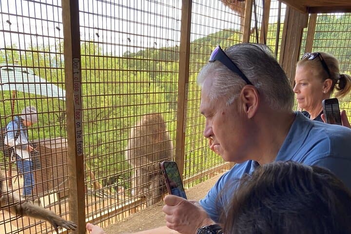 4 Hours Arashiyama and Arashiyama Monkey Park Tour — photo 13