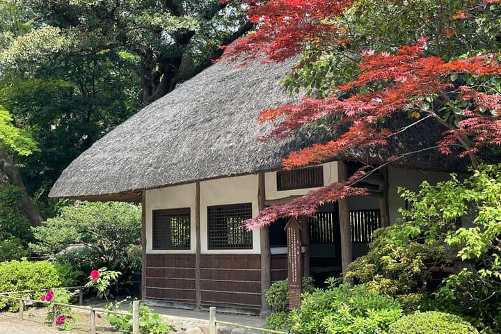 Tokyo Historian Private Tour — photo 3