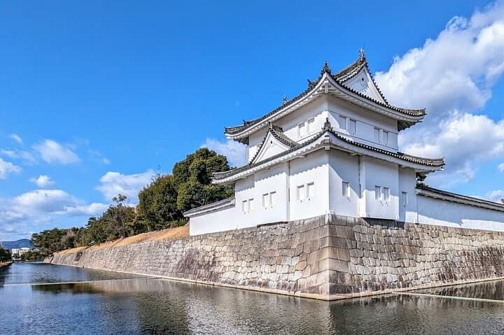 From Osaka or Kyoto: Full Day Sightseeing Tour of Kyoto — photo 5