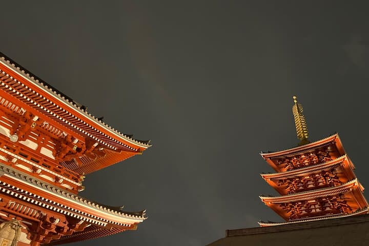 Tokyo Historian Private Tour — photo 6