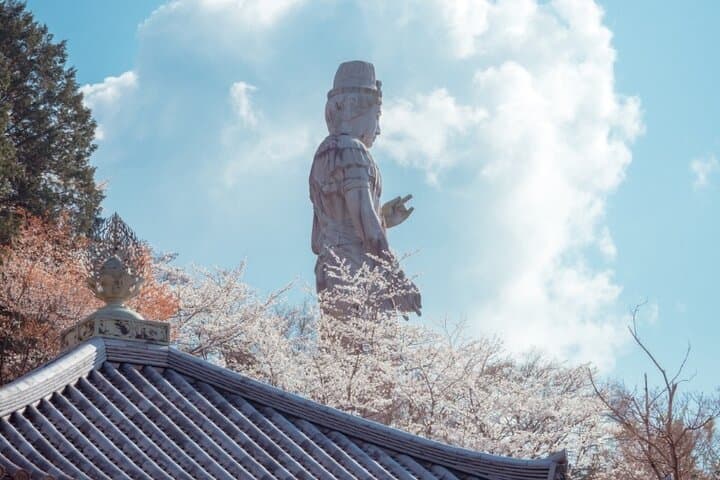 Discover the Timeless Charm and Natural Beauty of Nara — photo 4