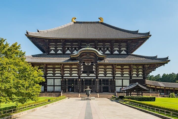Discover the Timeless Charm and Natural Beauty of Nara — photo 5