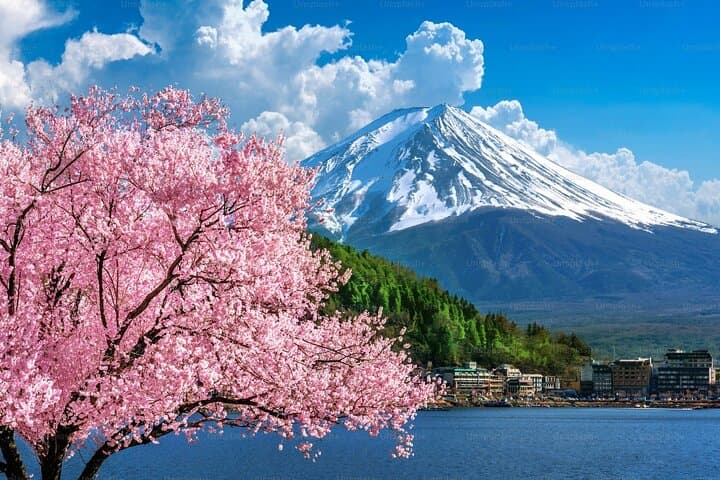 Mt Fuji Carpool Day Tour for 5 to 9 Tourists — photo 2