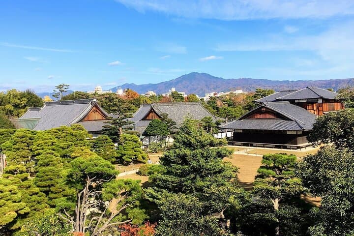 Kyoto One Day Sightseeing Tour from Osaka or Kyoto — photo 18
