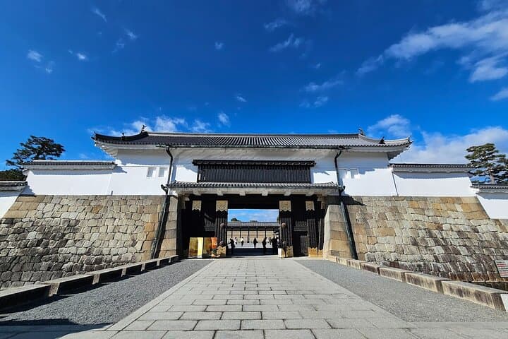 Kyoto One Day Sightseeing Tour from Osaka or Kyoto — photo 13