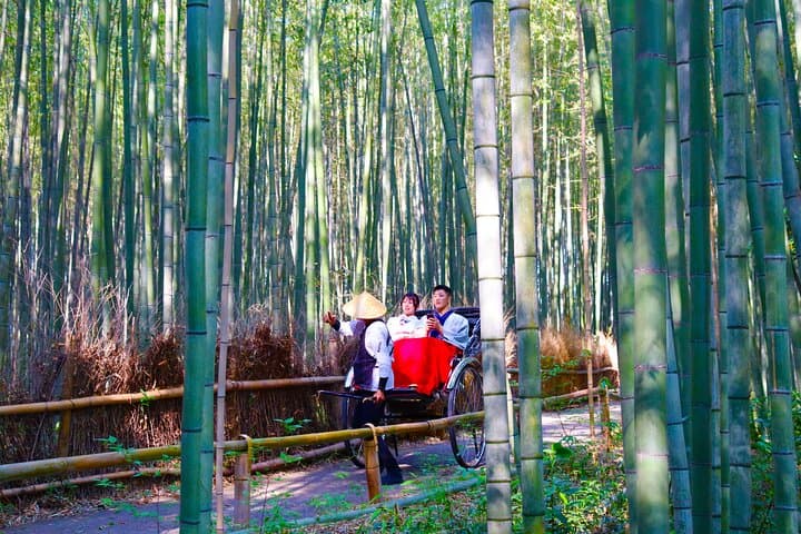 Private Kyoto Morning Tour: Fushimi Inari, Arashiyama & Monkey — photo 4