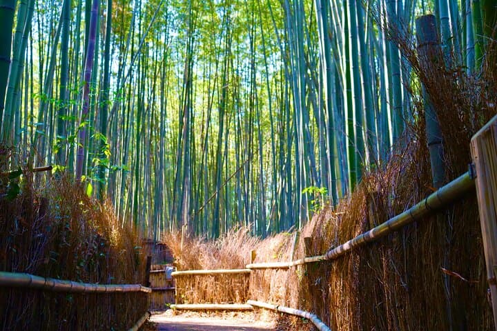 Private Kyoto Morning Tour: Fushimi Inari, Arashiyama & Monkey — photo 9