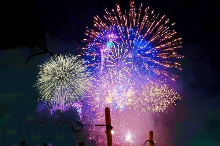 Tokyo SumidaRiver Fireworks Festival Cruise& Dinner& Show& Drinks — photo 3