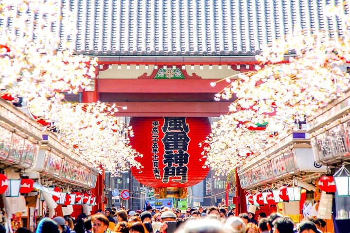 Tokyo Private Group Tour – Flexible Schedule and Stops — photo 5