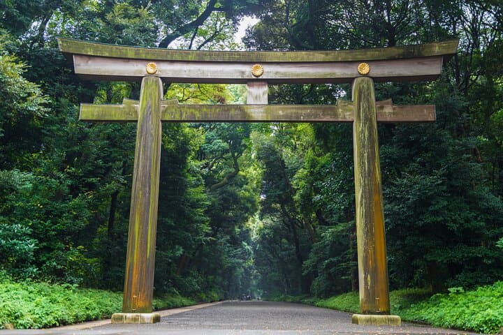 Tokyo Private Group Tour – Flexible Schedule and Stops — photo 7
