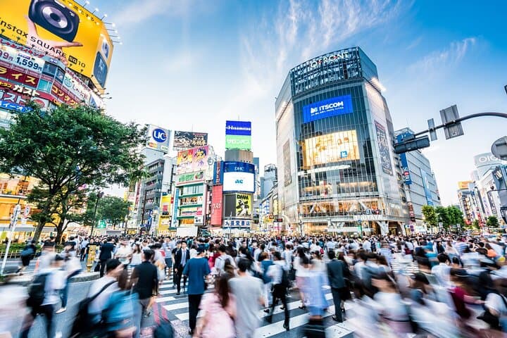 Tokyo Private Group Tour – Flexible Schedule and Stops — photo 4