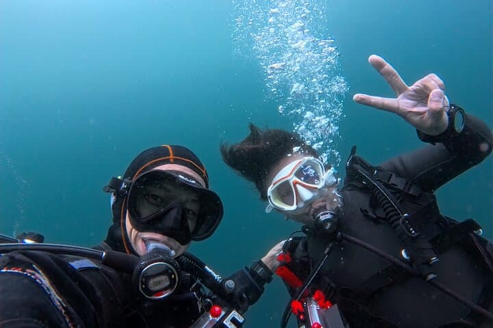 Shared Scuba Diving Trip in Kushimoto — photo 8