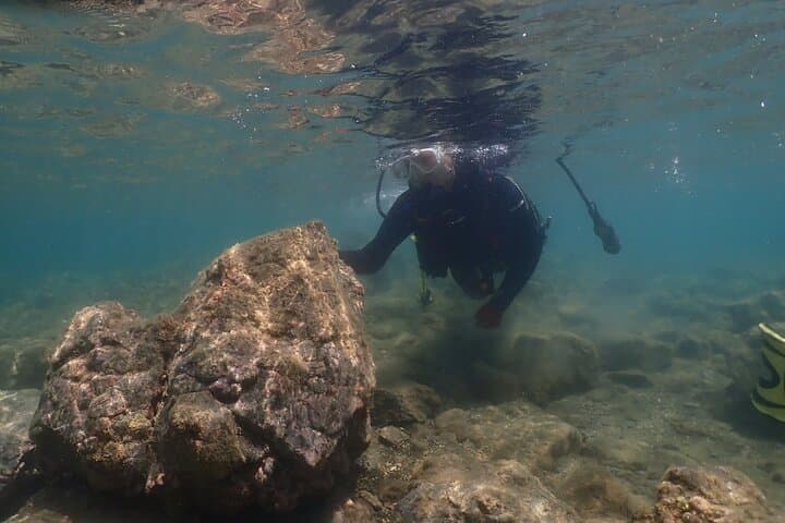 Shared Scuba Diving Trip in Kushimoto — photo 3