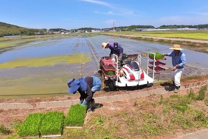 Private Coastline Ebike Tour in Fukuoka — photo 5