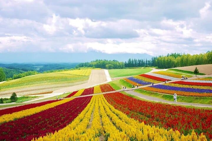 Hokkaido Farm Tomita Shikisai Hill Waterfall& Blue Pond Day Tour — photo 4