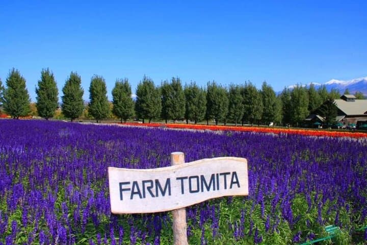 Hokkaido Farm Tomita Shikisai Hill Waterfall& Blue Pond Day Tour — photo 2